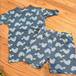 Hanna Andersson Kids Pajama Set - Blue & Light Green Turtle Print size 8